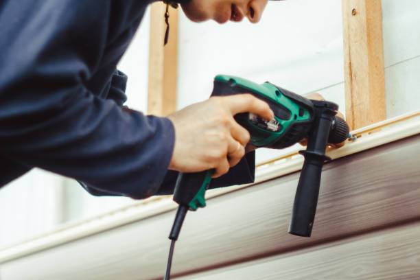 Best Steel Siding Installation  in Tok, AK